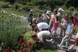 IMG_8214.JPG
