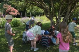 IMG_8218.JPG