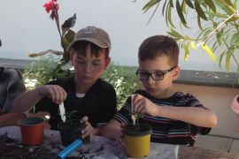 IMG_8243.JPG