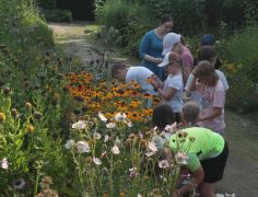 IMG_8278.JPG