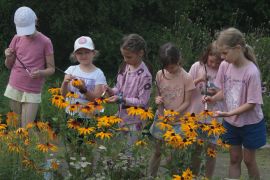 IMG_8280.JPG