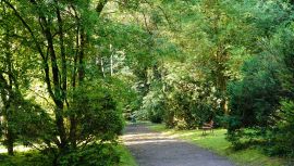 Arboretum (fot. Justyna Wasińska).JPG