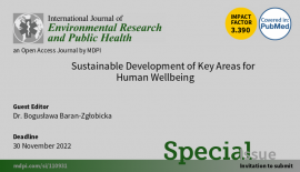 Sustainable_Wellbeing_banner.png