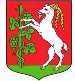 Mayor of the City of Lublin