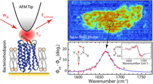 Nano-Chemical Infrared Imaging of Membrane Proteins in Lipid Bilayers