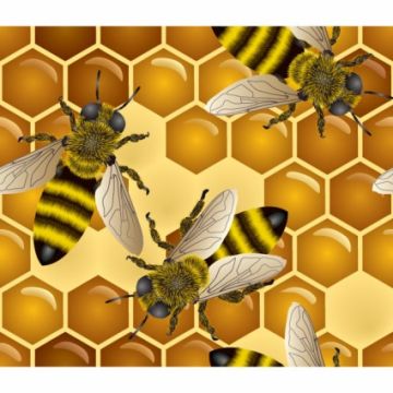 Naukowcy z UMCS opracowali lek dla pszczół