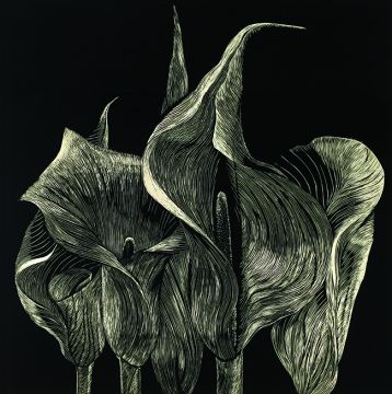 Czarny Kwiat - wystawa grafik Marty Bożyk (23.04.-14.05.)