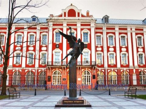 Międzynarodowa konferencja w Petersburgu