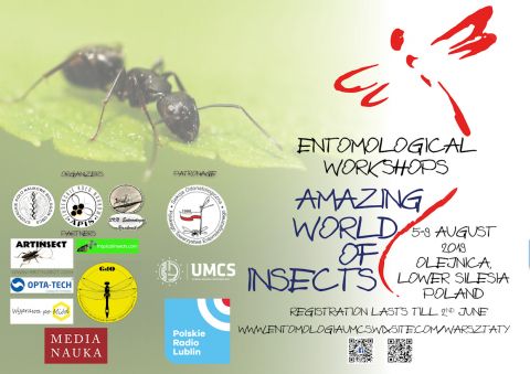 III Warsztaty Entomologiczne: „Niesamowity świat owadów”
