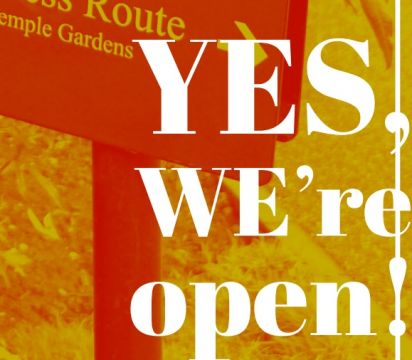 Yes, we're open! - dni Centrum Brytyjskiego  2-13...