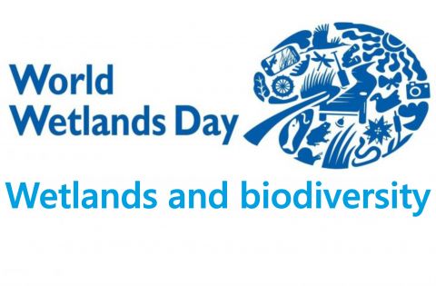 World Wetlands Day (Friday, February 7th)