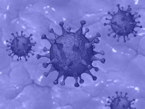 Fighting the coronavirus - current rules UPDATE