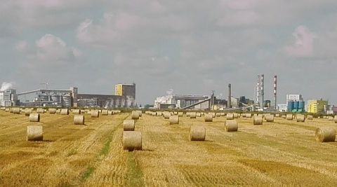 Zaproszenie na konferencję „Plant productivity and food...