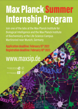 Studencki program stażowy MaxSIP w Niemczech