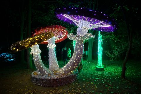 Nowe dni otwarcia Lumina Parku w Ogrodzie Botanicznym UMCS