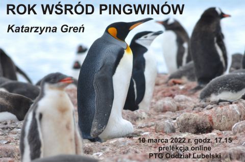 Rok wśród pingwinów - spotkanie OL PTG