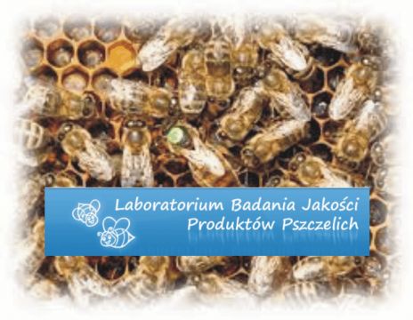 Praktyki programowe w Zakładzie Pszczelnictwa w Puławach