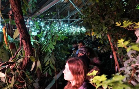 Noc Biologów w Ogrodzie Botanicznym UMCS - fotorelacja