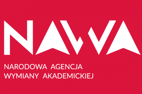 Program Zawacka NAWA - oferta przyjazdowa