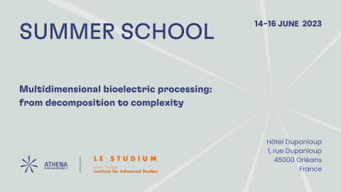 Summer School – Multidimensional bioelectric processing:...