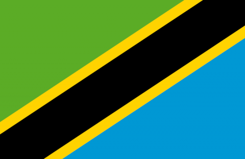 O UMCS-ie na stronie Ambasady RP w Tanzanii