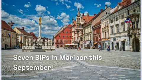 7 ATHENA BIPs and Summer Schools in Maribor this September