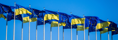 CASE Webinar "Institutional Reforms in Ukraine in...