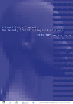 Konkurs Bio-Art: „Piękno nauk biologicznych” (The beauty...