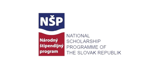  Stypendia NSP dla studentów zagranicznych, doktorantów,...