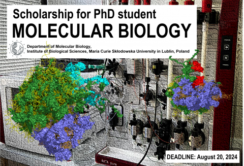 PhD-STUDENT SCHOLARSHIP (3 years) in the field of...