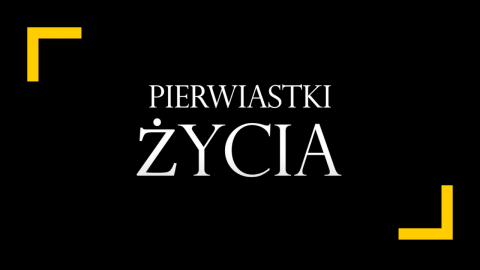 Reportaż - "Pierwiastki Życia"