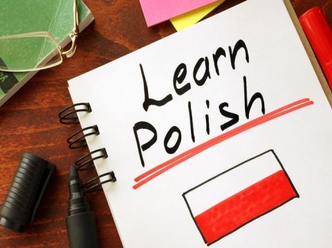 Безкоштовні курси польської мови для абітурієнтів