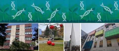 Metagenomy różnych środowisk | Ogólnopolskim Sympozjum...
