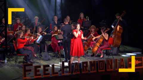 Walentynkowy Koncert Charytatywny PRAWNICY i MEDYCY na...