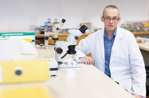 W świecie leśnych owadów. Podcast „Głos nauki”