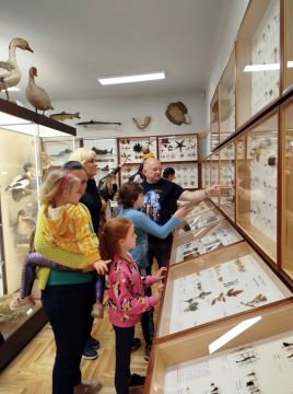 Noc Muzeów w Muzeum Zoologicznym już za nami!