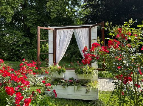 Ankieta dla osób odwiedzających Ogród Botaniczny UMCS