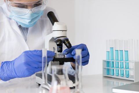 Biopreparaty grzybowe jako potencjalne leki...