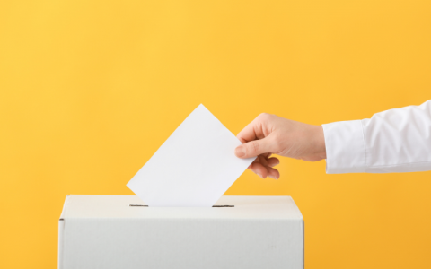 Wyniki wyborów do Rad Wydziałowych Samorządu Studentów UMCS