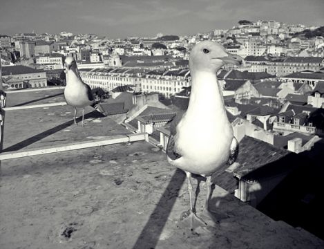 JOANNA_DUDEK_Lisboa.JPG