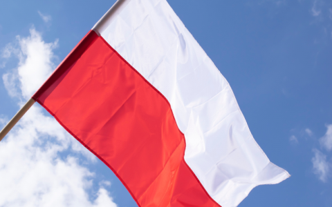 Odezwa Komitetu Honorowego Obchodów Narodowego Święta...