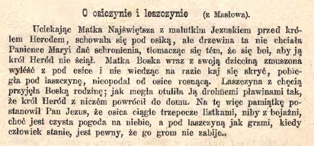 ZWAK 1883_Leszczyna i osika.jpg