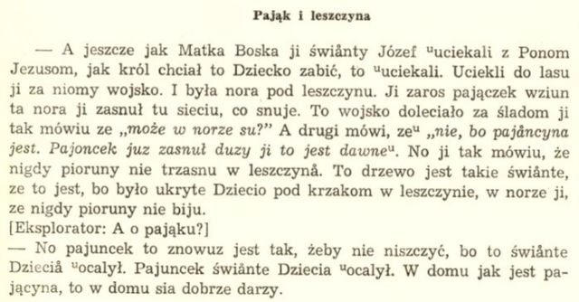 Pająk i leszczyna_Bart Lub.jpg