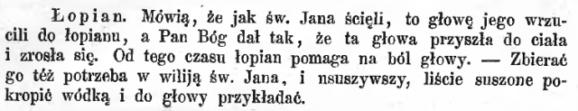 Łopian ZWAK 1884.PNG