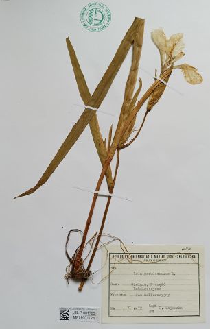 2 Kolekcja botaniczna.jpg
