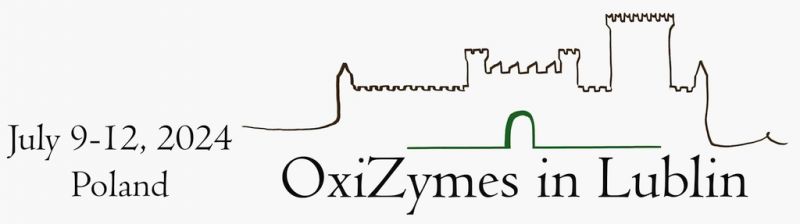 OxiZymes_bgn.jpg