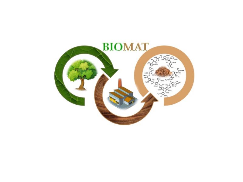 logo BIOMAT.jpg